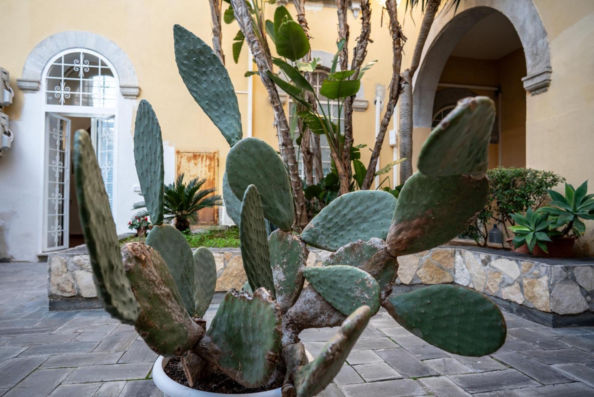 Casa Orchidea D'Oro Villa Siraküza Dış mekan fotoğraf